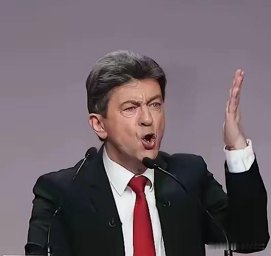 5月11日，法国极右翼政党“不屈法国”领袖，法国总统参选人梅朗雄说：如果我当选，