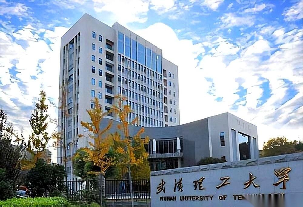 今天，咱们来聊聊武汉理工大学——这个被全网戏称为“984.5”的存在。为啥一个