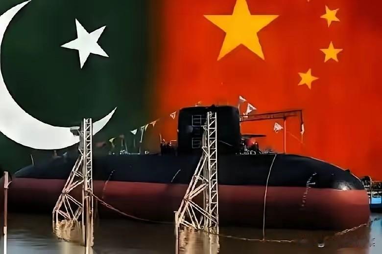 印度海军这下是真睡不着了。就在昨天，巴基斯坦总统扎尔达里亲自飞到了三亚，给首
