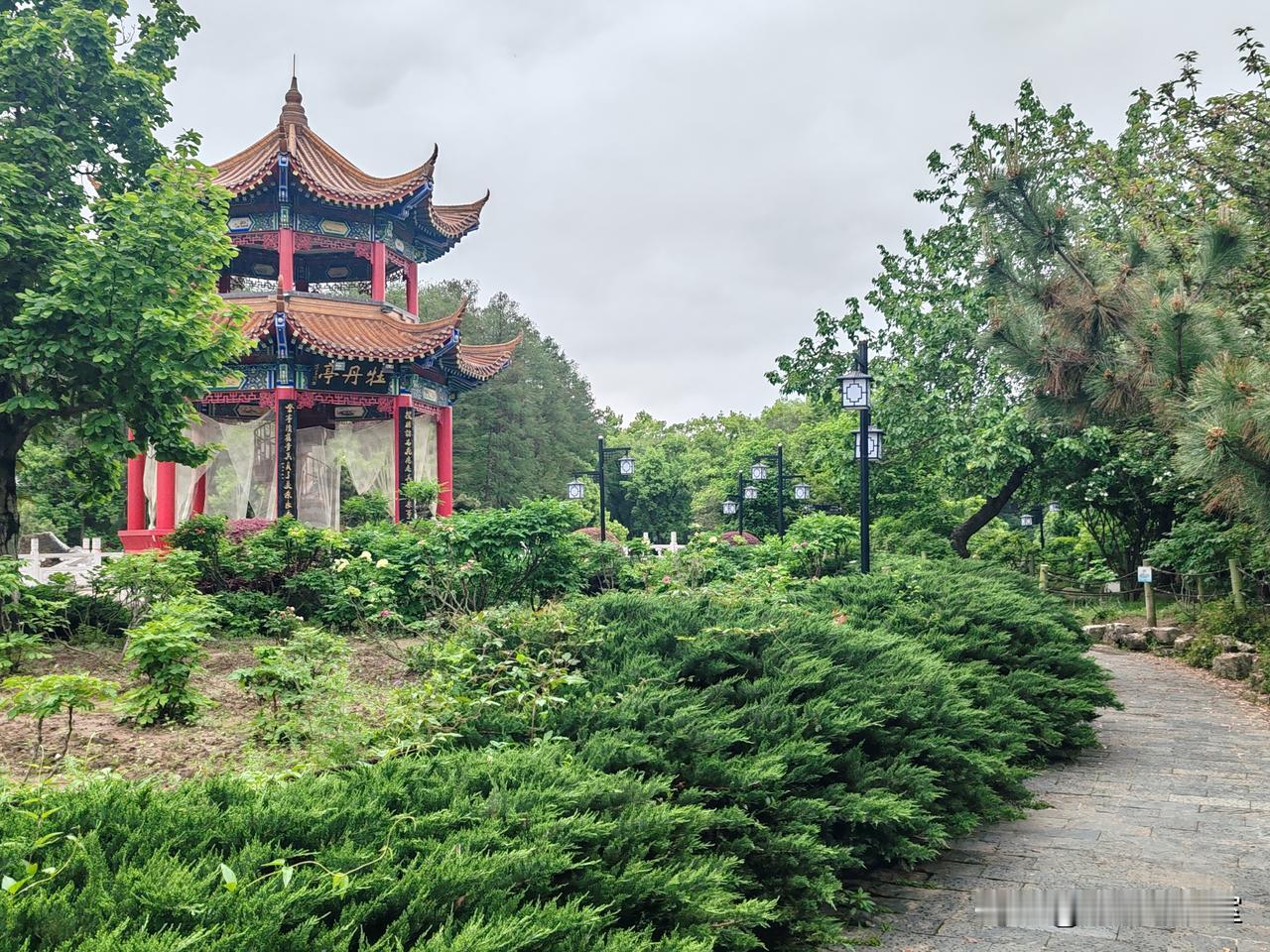 武汉市东湖牡丹园景色和环境超级棒，令我陶醉。下面发几张那里美景照片！🍎🇨🇳