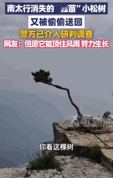人心不足蛇吞象。5月20日，河南新乡辉县南太行红旗尖观景台，一则离奇的事件牵动无