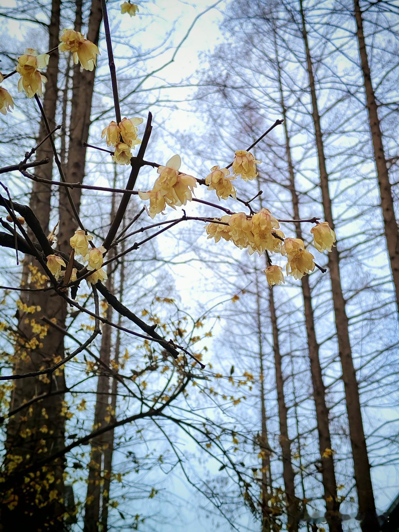 老人心里一本账：嘴上偏谁，晚年靠谁，早就算得明明白白！你知道吗？老人偏心归