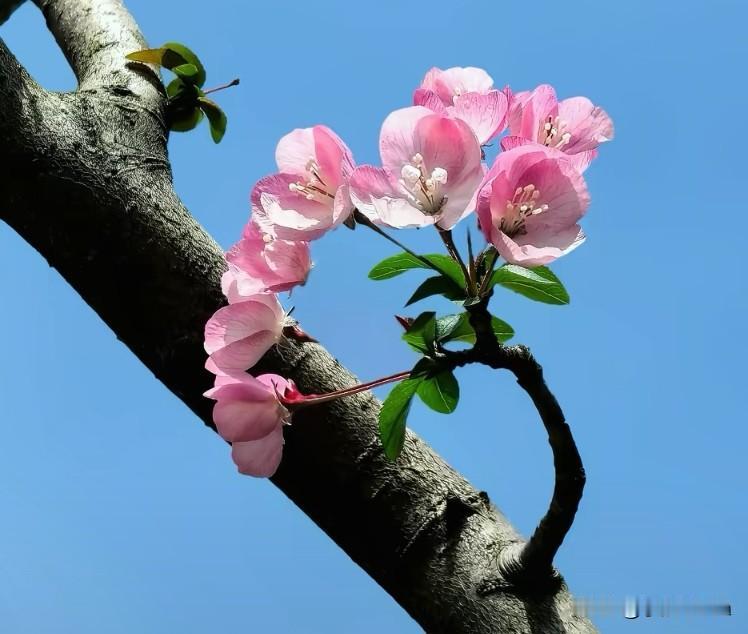 如果无能为力，那就顺其自然；如果心无所待，那就随遇而安人生在世，总有太多事