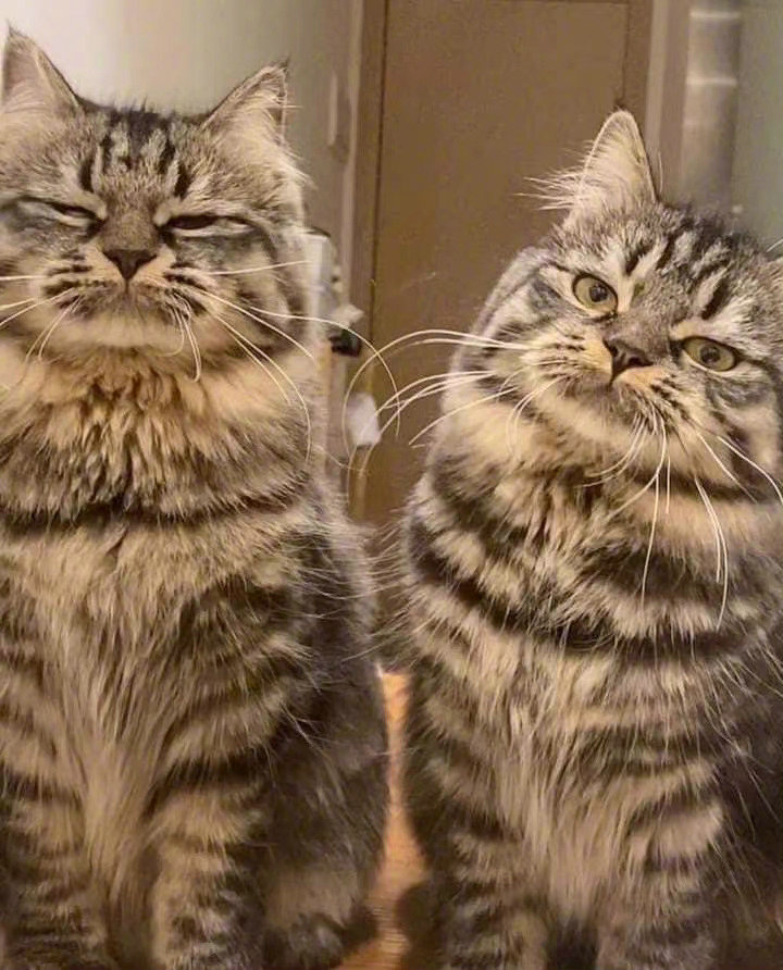 总有一个不喜欢拍照！！