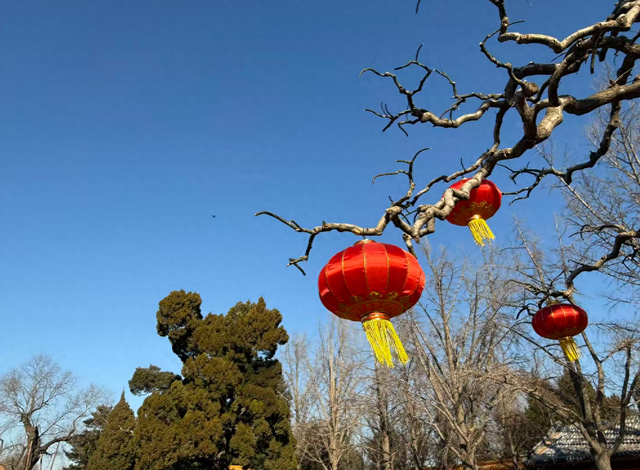 傍晚至明天大风呼啸, “三九凛冬”这个双休日发威