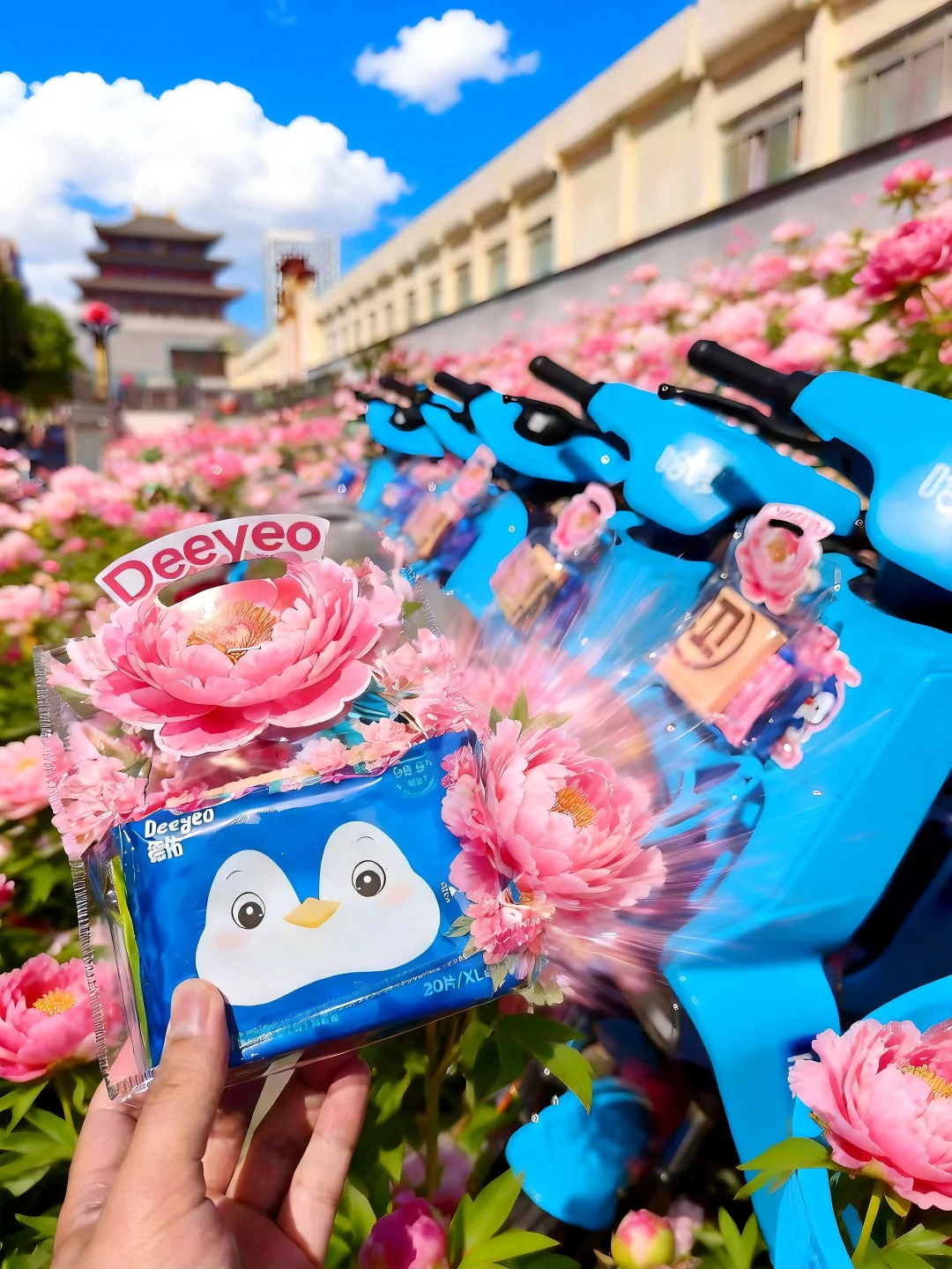 来洛阳一定要骑！德佑牡丹花车🌸Woc香晕了🥹