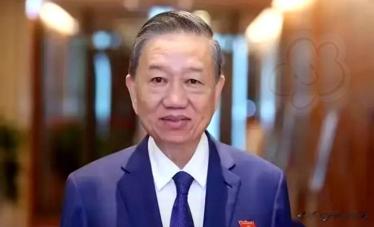 越南新当家苏林一句话，让全球经济分析师的下巴都快掉地上了。越南疯了？喊出