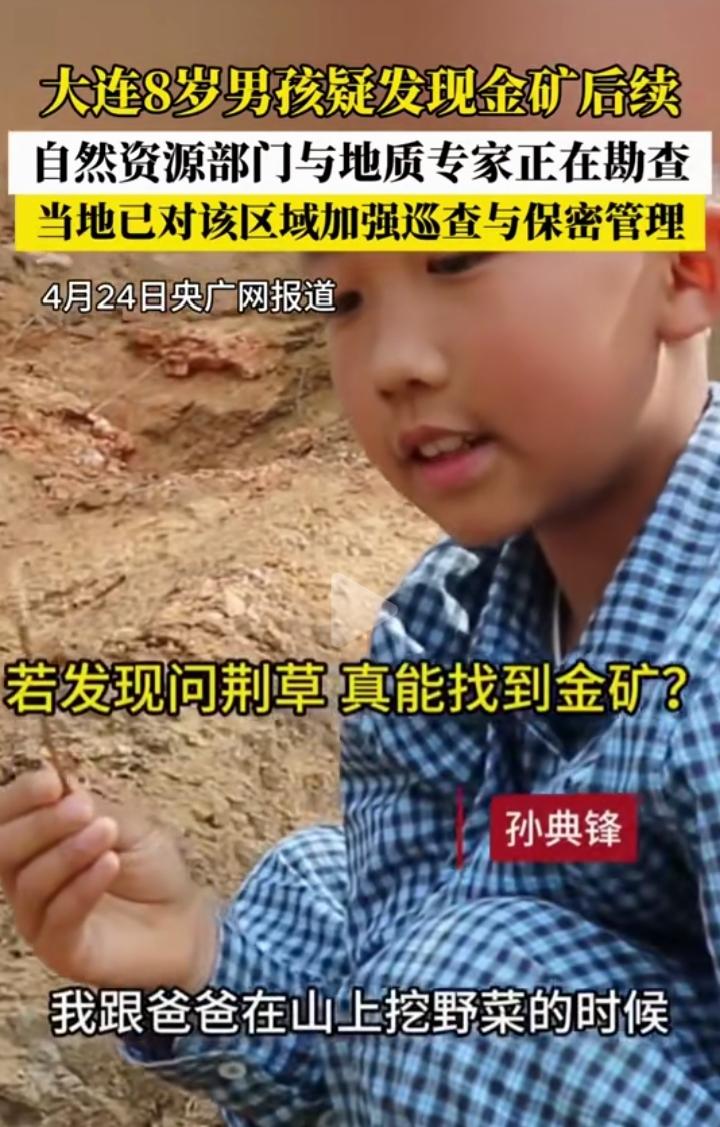 8岁娃挖野菜挖出金矿！这波科普知识直接封神！谁能想到！4月16日大连庄河8