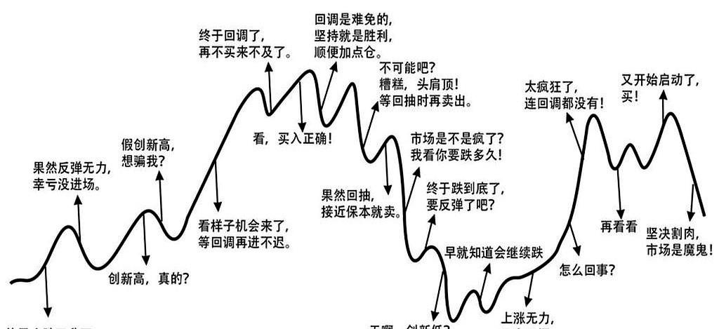 清华扒了上交所四千万个账户，得出一个结论。就一句话，但扎心到冒血：0.5%的