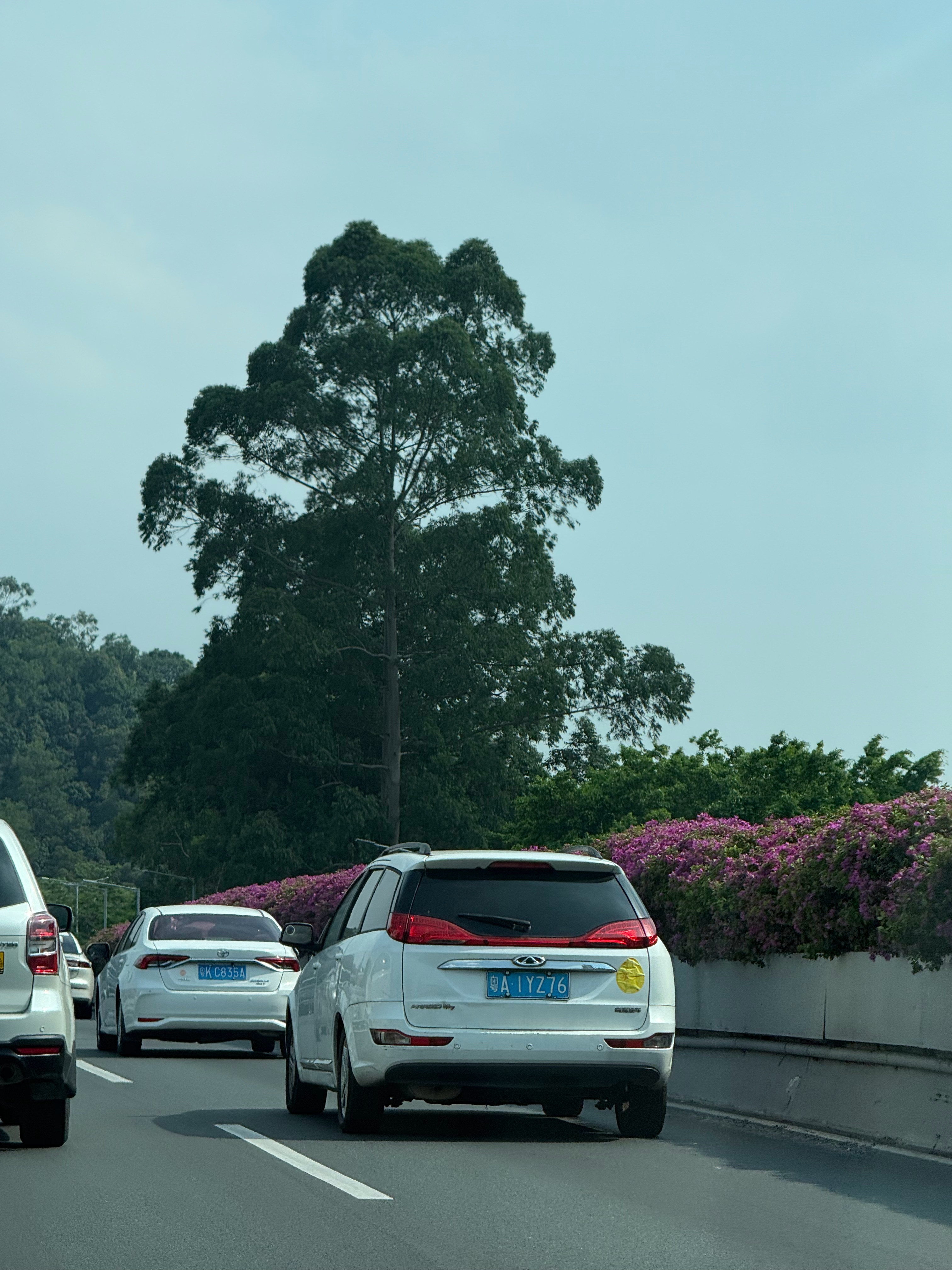 这是奇瑞的什么车？估计没多少人知道