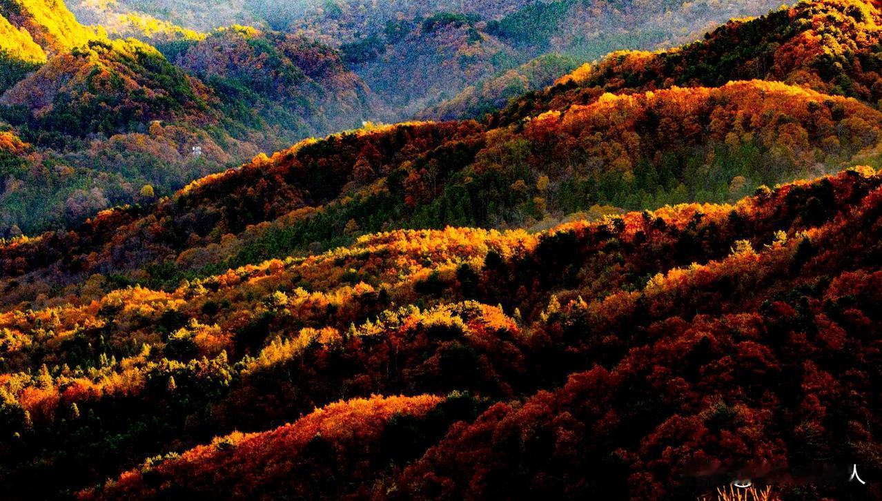 人老了才明白，到晚年时一定要提前做好6件事，才能安心走到最后有些事情，没有到