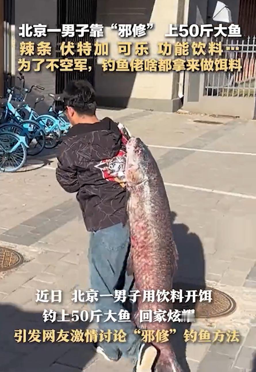 “这下解释不清了！”北京，男子在河边蹲了半天，最后竟钓上来一条五十斤的大鱼。为了