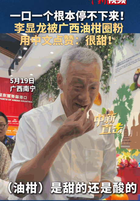 “油柑刺客”征服前总理！5月19日，新加坡前总理李显龙“空降”南宁，竟被一颗小小