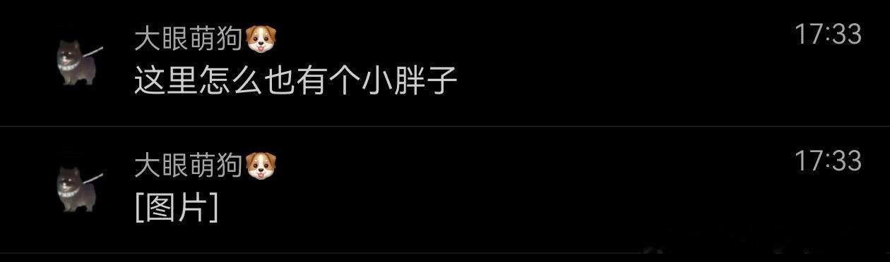 不丢妈妈回家淡定的丢😺