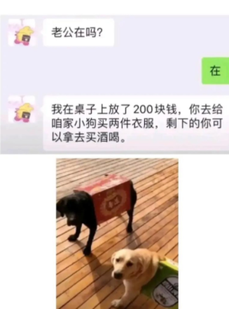 这衣服真是刚刚好啊