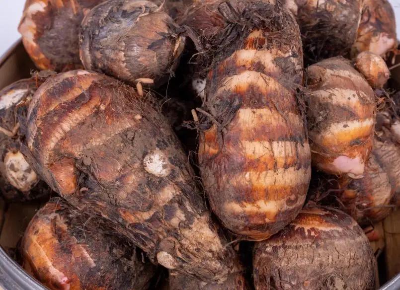 这5种“健康刺客”正在偷偷把你的血糖推上热搜，第3个你天天喂孩子！---