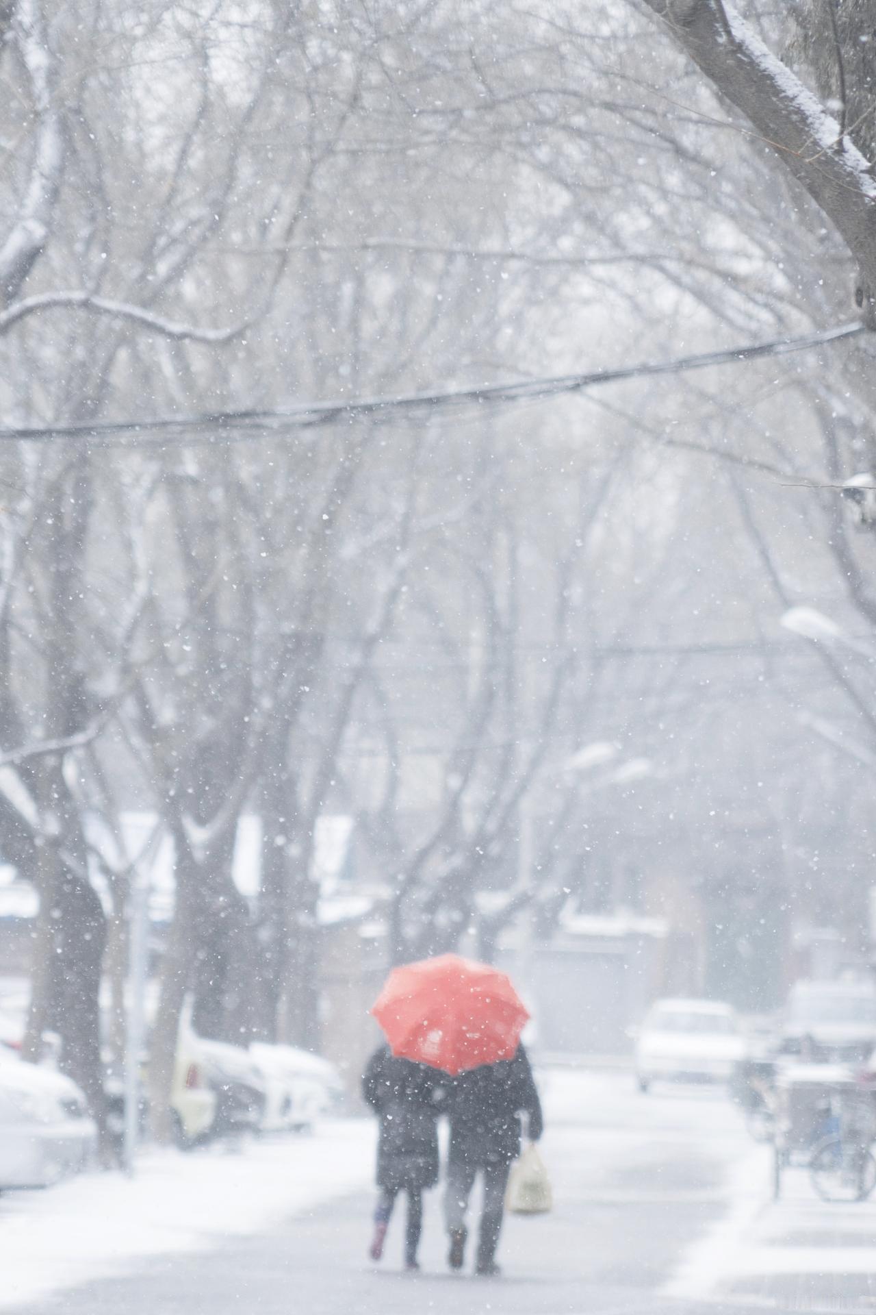 2026年开年没几天，1月2号那天，咱们南方又迎来了一场超猛的降雪，这可是那年的