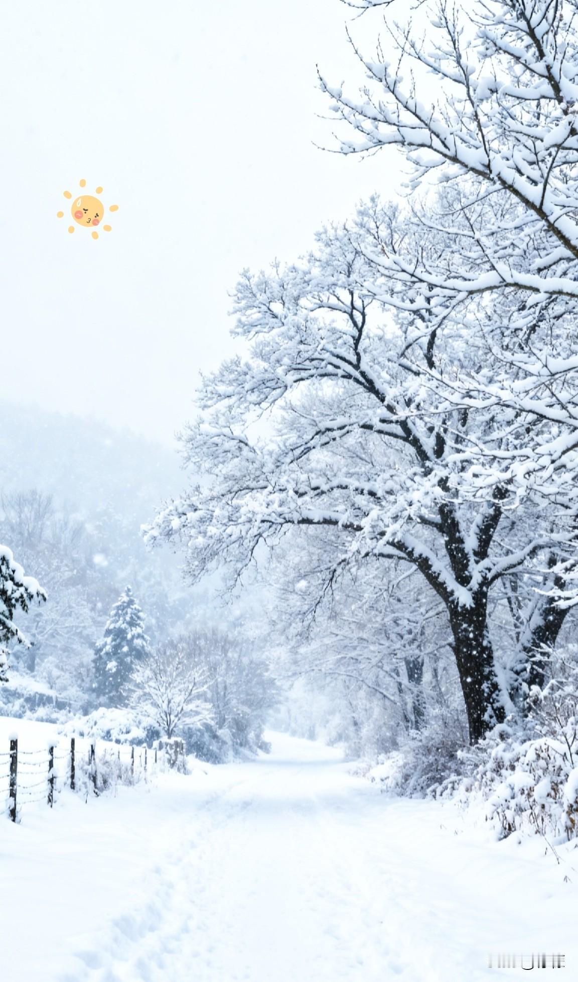 提醒大家做好心理准备哦从明天开始到1月25号，这两周是一年中最冷的时候，能