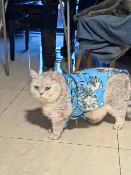 麻麻，衣服好像不太合适……