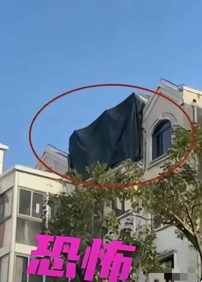 看完上海邱先生的遭遇，我真的后背一凉，越想越害怕。只是正常举报小区楼顶违建