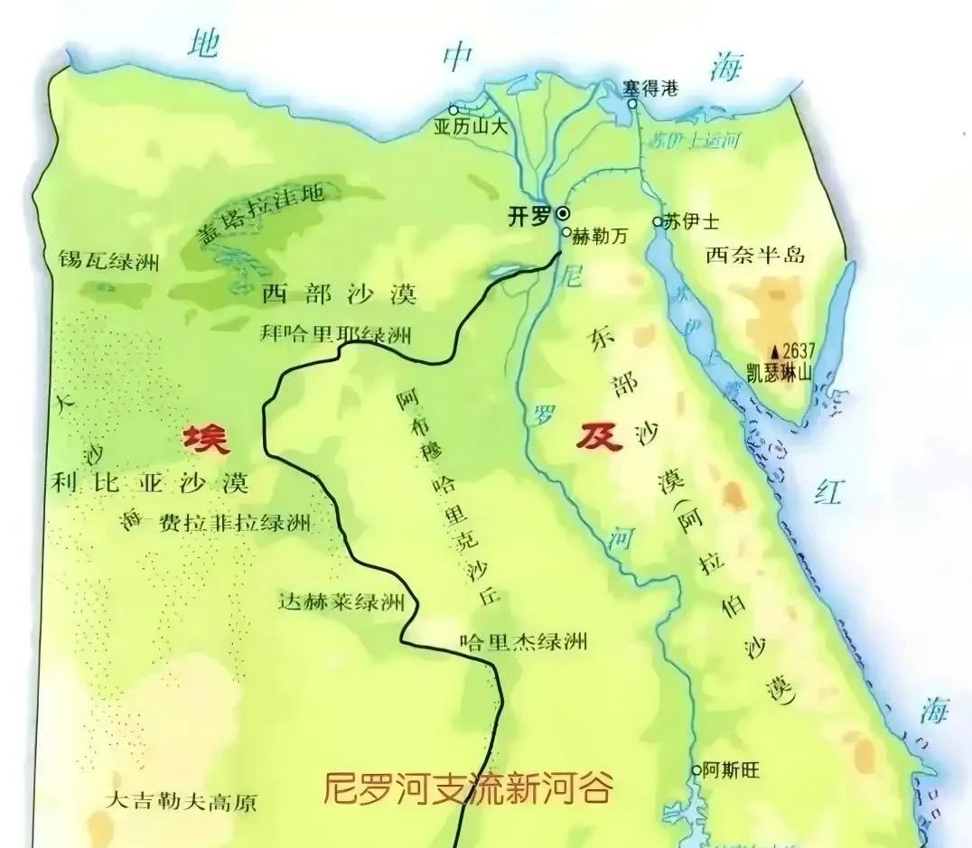 埃及的新河谷计划，开凿运河将尼罗河水引到西部沙漠，扩大绿洲面积，一旦成功，将可以