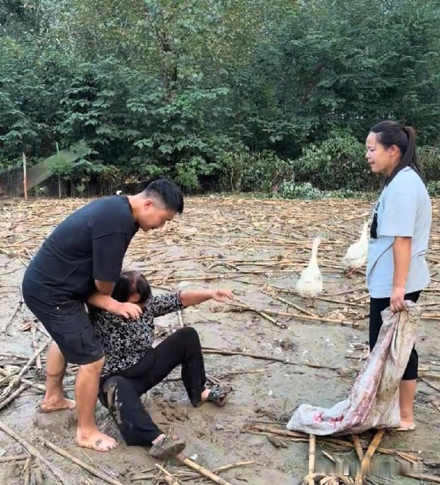 小故事！这老壳子又开始手脚不干净了，她偷了三只大鹅。而且这视频拍
