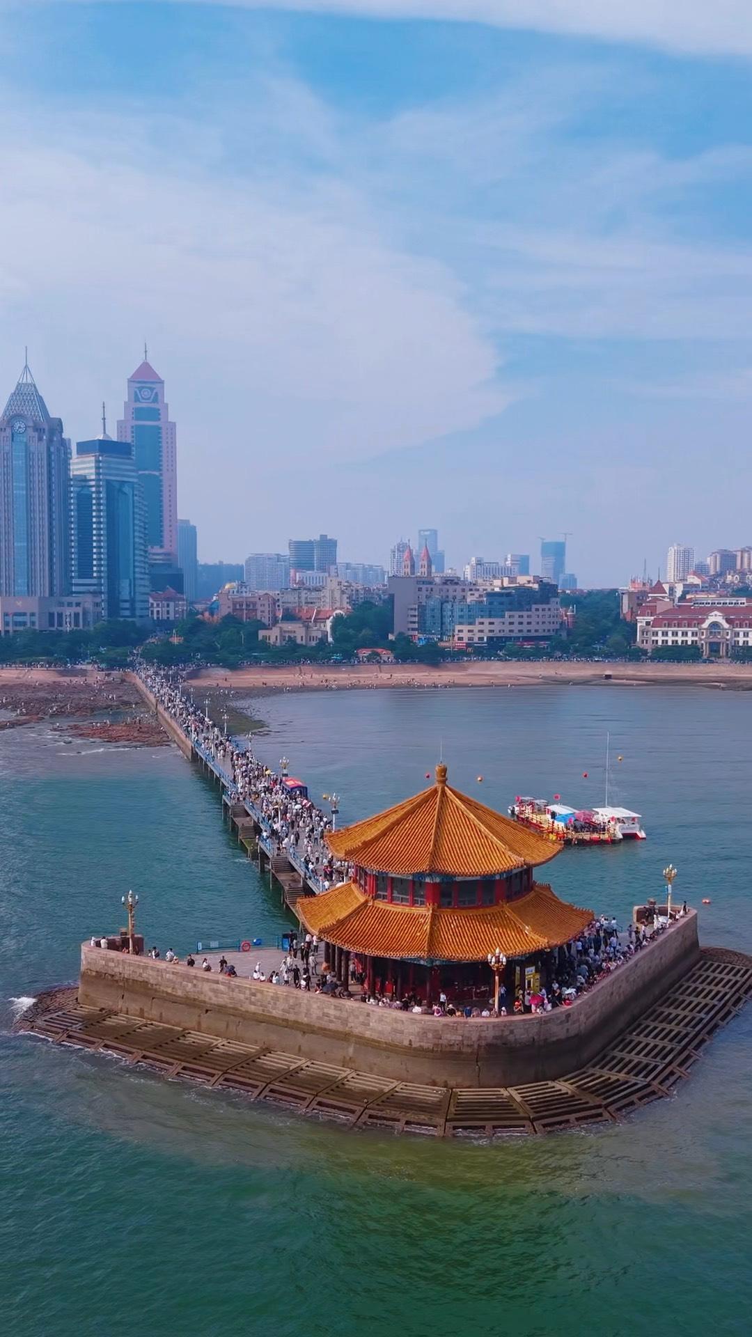 青岛爆红全网！深圳上海都惊了，这座山海之城凭啥成为年轻人“治愈圣地”？附超全避坑