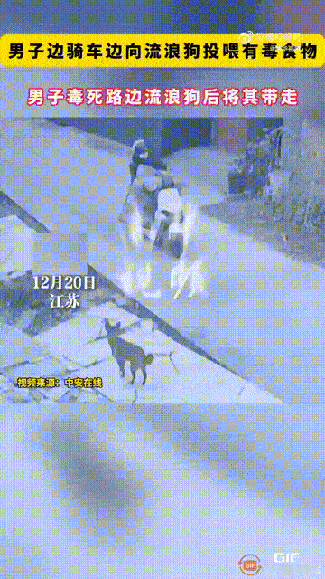 江苏一名男子骑着电动车向路边的流浪狗投喂食物，本以为他是善心善举，谁料他前脚刚离