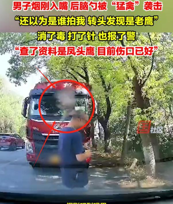 这也是够倒霉的！江苏苏州，男子在路边抽烟，不料，刚把烟叼进嘴里，就感觉后脑勺被重