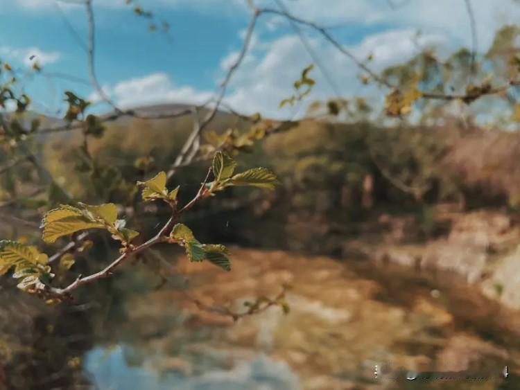 顺其自然,什么是自然,如何顺?何谓自然？老子曰：“人法地，地法天，天法道