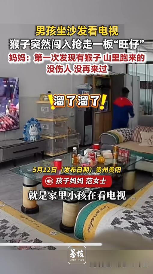 “胆子也太大了！”5月12日报道，贵州贵阳，一男孩坐在家中的沙发上看电视，突然间