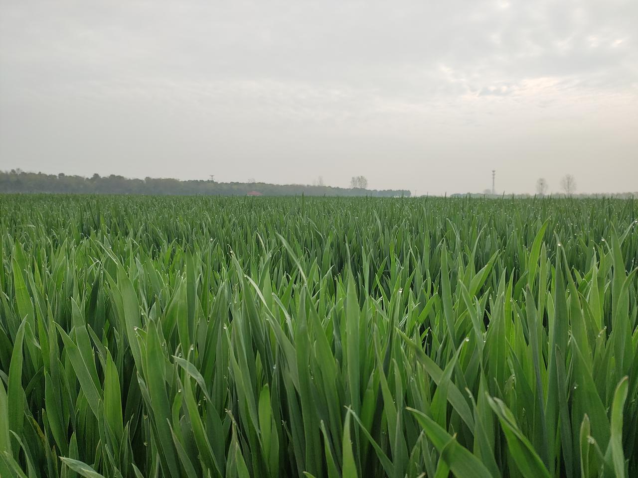 上天给你的财富、饭是有数的，不要拼命去抢着挣，早早挣完了世界上从来就没有十全十