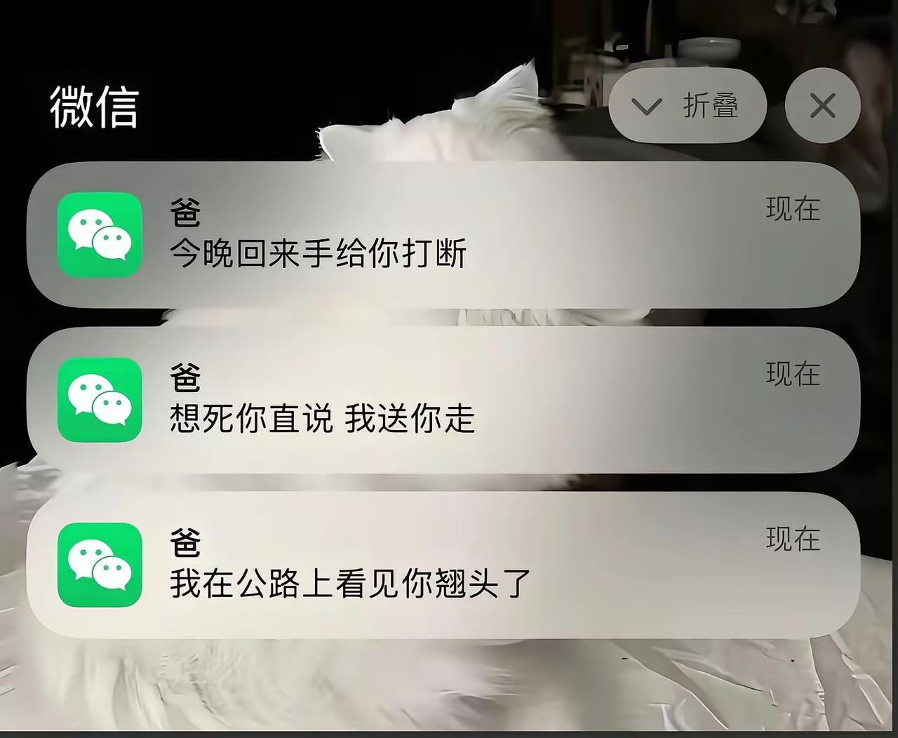 我该何去何从