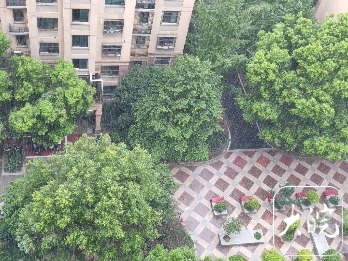 暴雨狂袭合肥！强对流黄色预警拉响，早高峰变'堵场'，这些区域将迎大暴雨！
