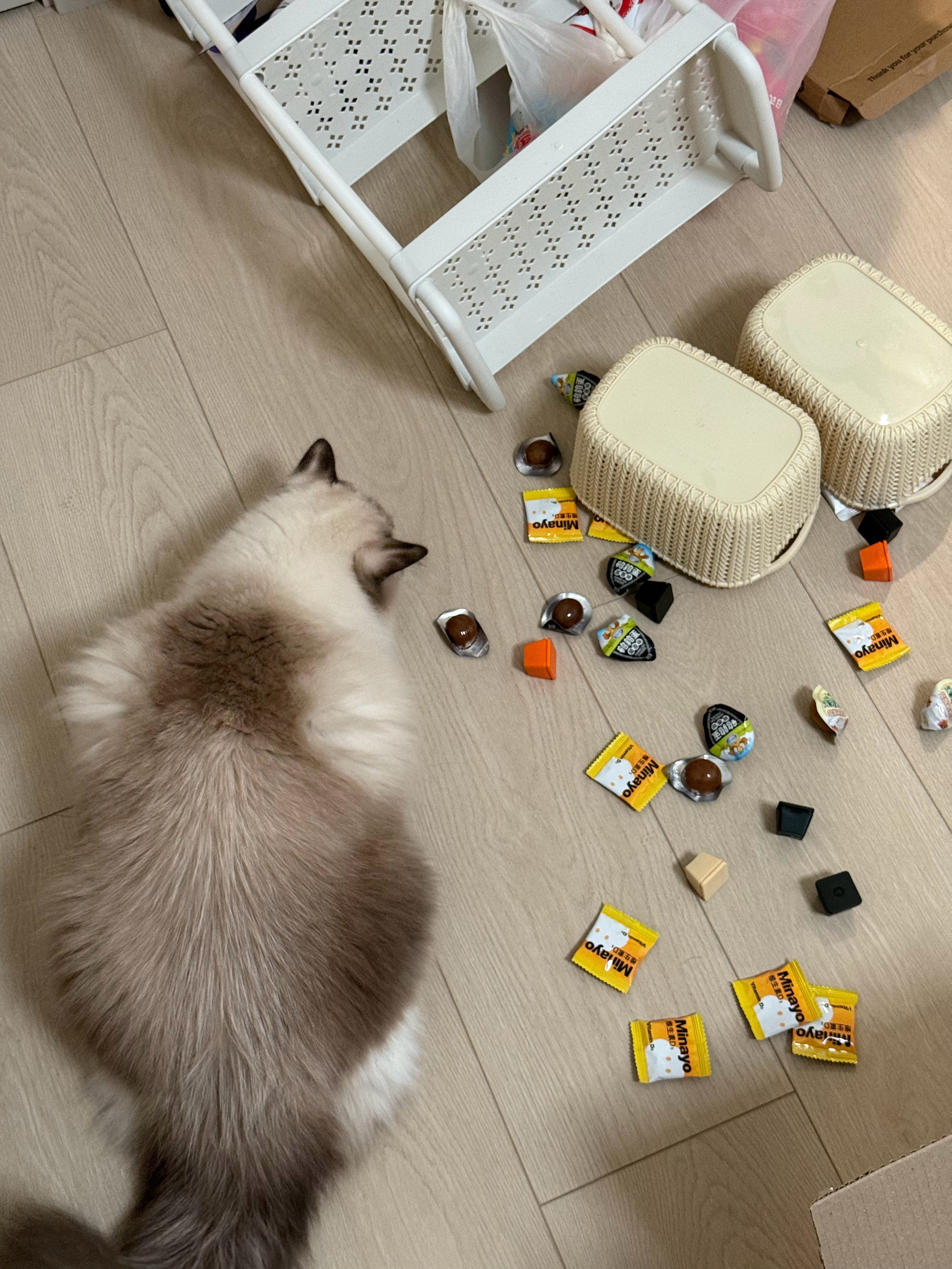每日贩剑✅​​​