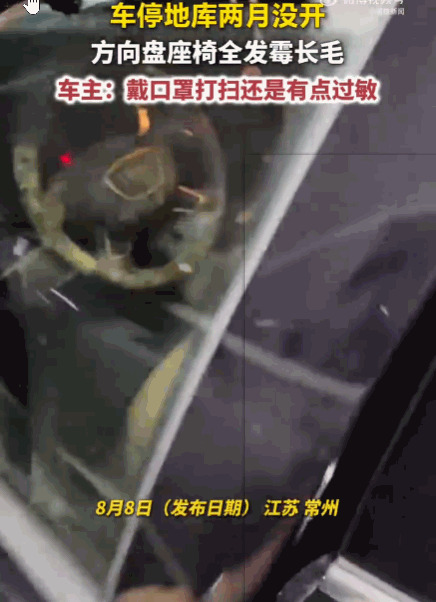 不可思议！江苏常州，一女子将车停在地库两个月未开。当她准备打扫一下车门，直接被眼