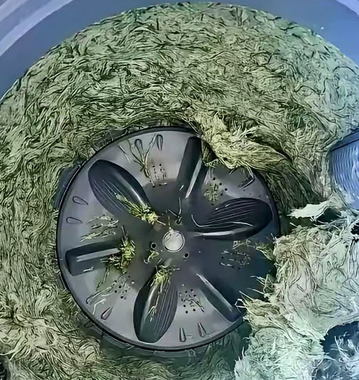 我妈让我洗凉席，我就放洗衣机里洗了，洗好，打开盖子一看，成这样了，在线等，挺急的