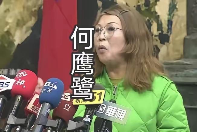 这个国民党中常委陆配何鹰鹭太搞笑了，她竟然甩锅给郑丽文，她说是因为郑丽文一直说自
