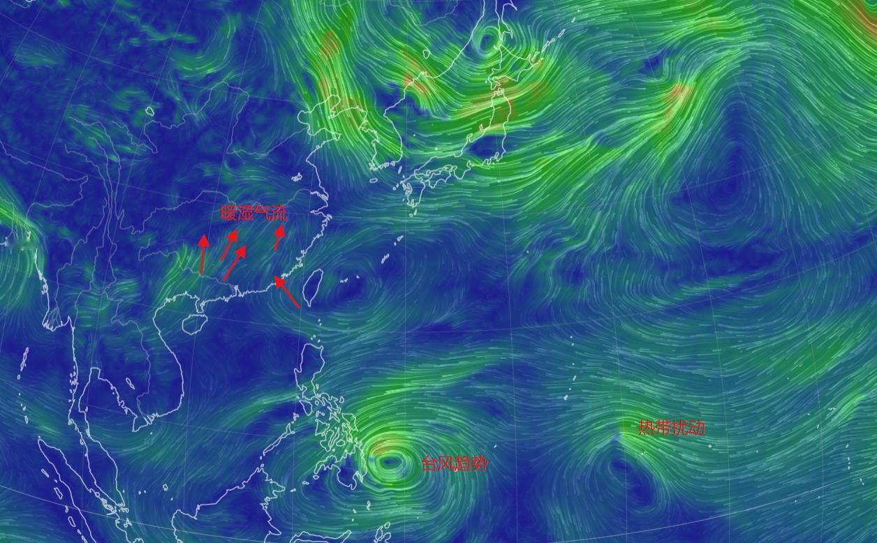 春运第1波冷空气雨雪5日来，有多强？影响有多大？主要分布在什么地方？2026