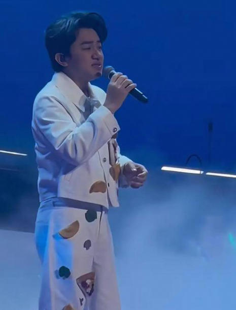 王祖蓝演唱会票价暴跌，李亚男携女现身，女儿长相引热议