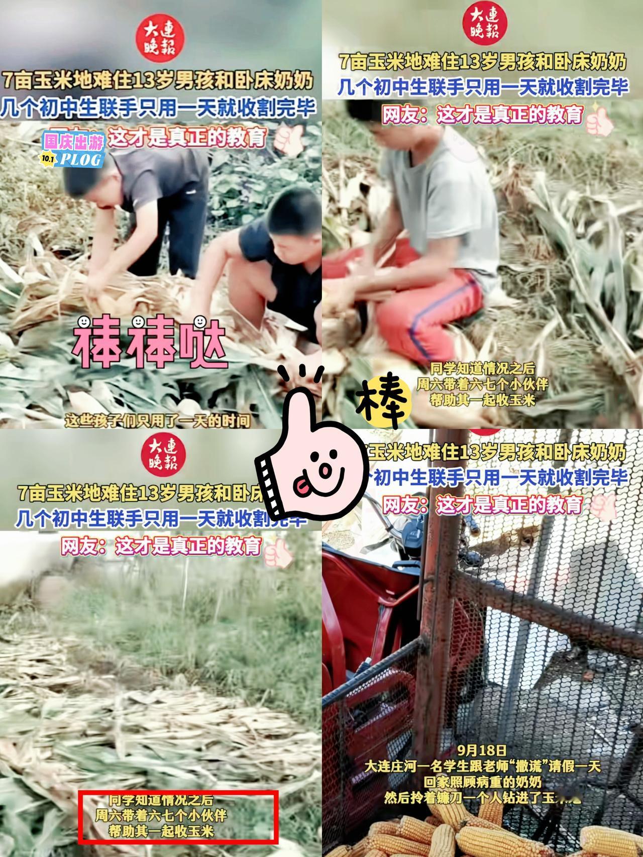 谁看了不竖大拇指！大连一13岁男孩跟着奶奶过，突然跟老师请假一天，不是想偷懒