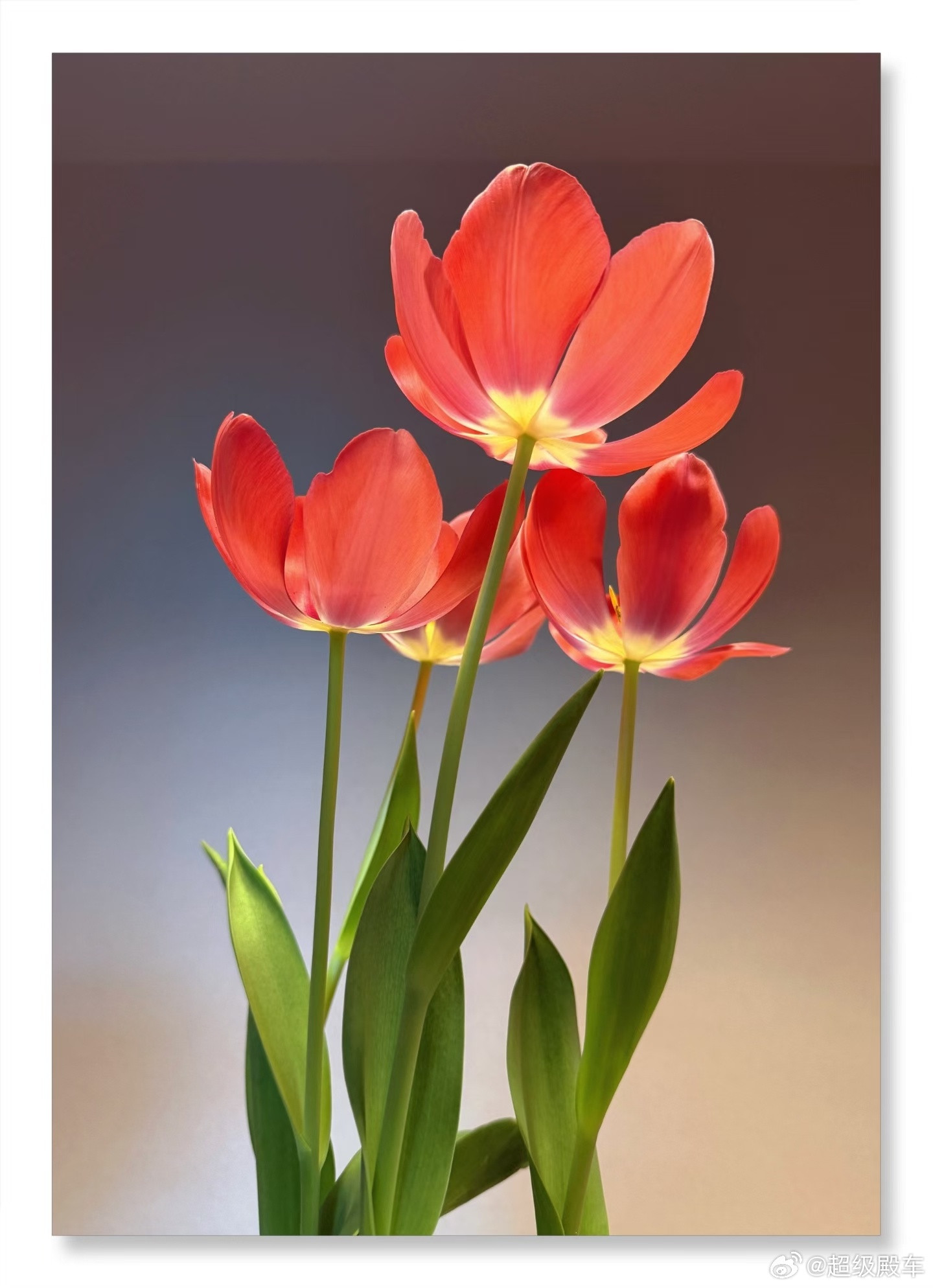 午睡时间超1小时死亡风险增加30%①午睡6分钟，就能够帮助增加记忆力——可能还没