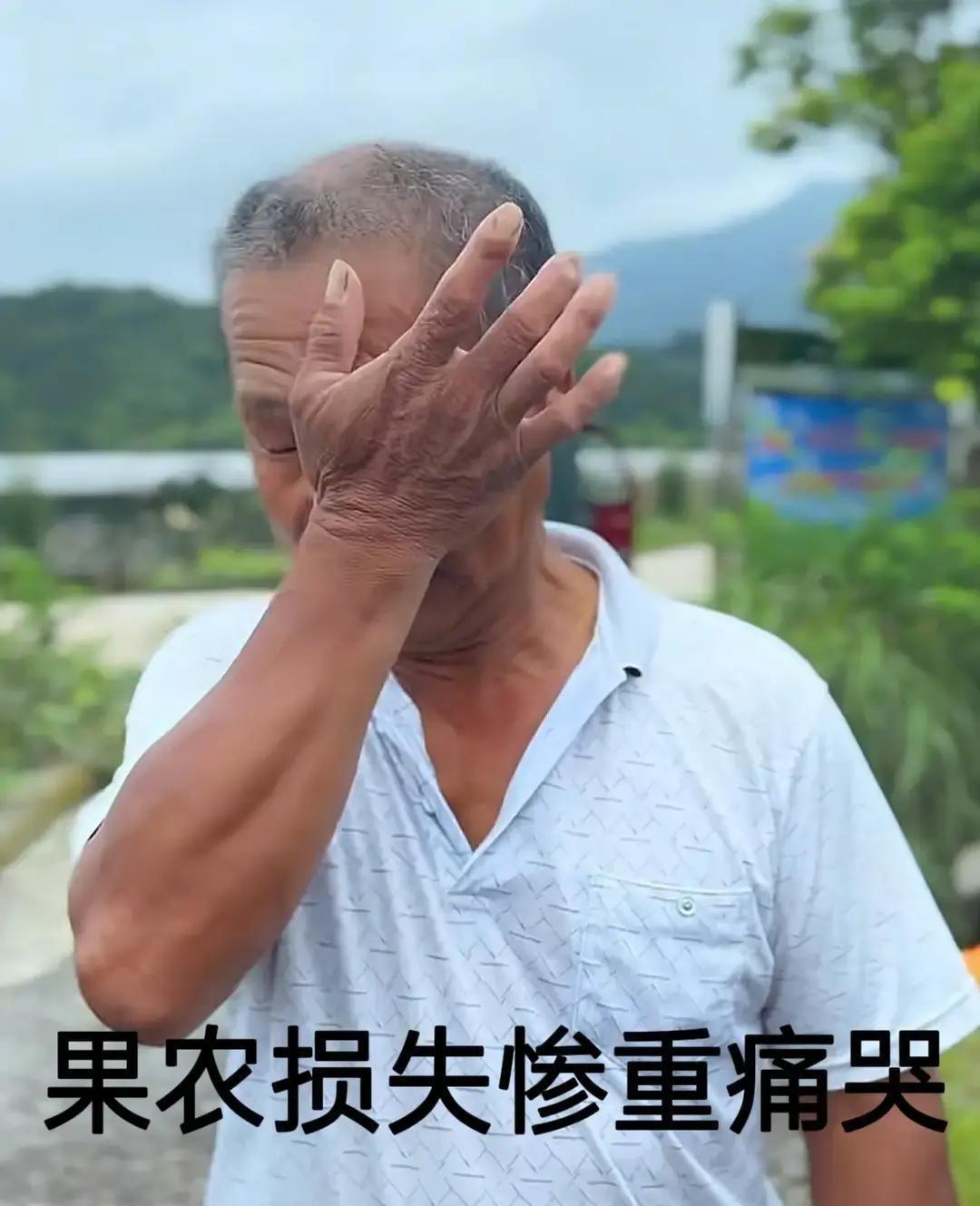面对福建果农杨梅滞销的痛哭，网友结合2026-05-20的新闻感慨：既然当初浸泡