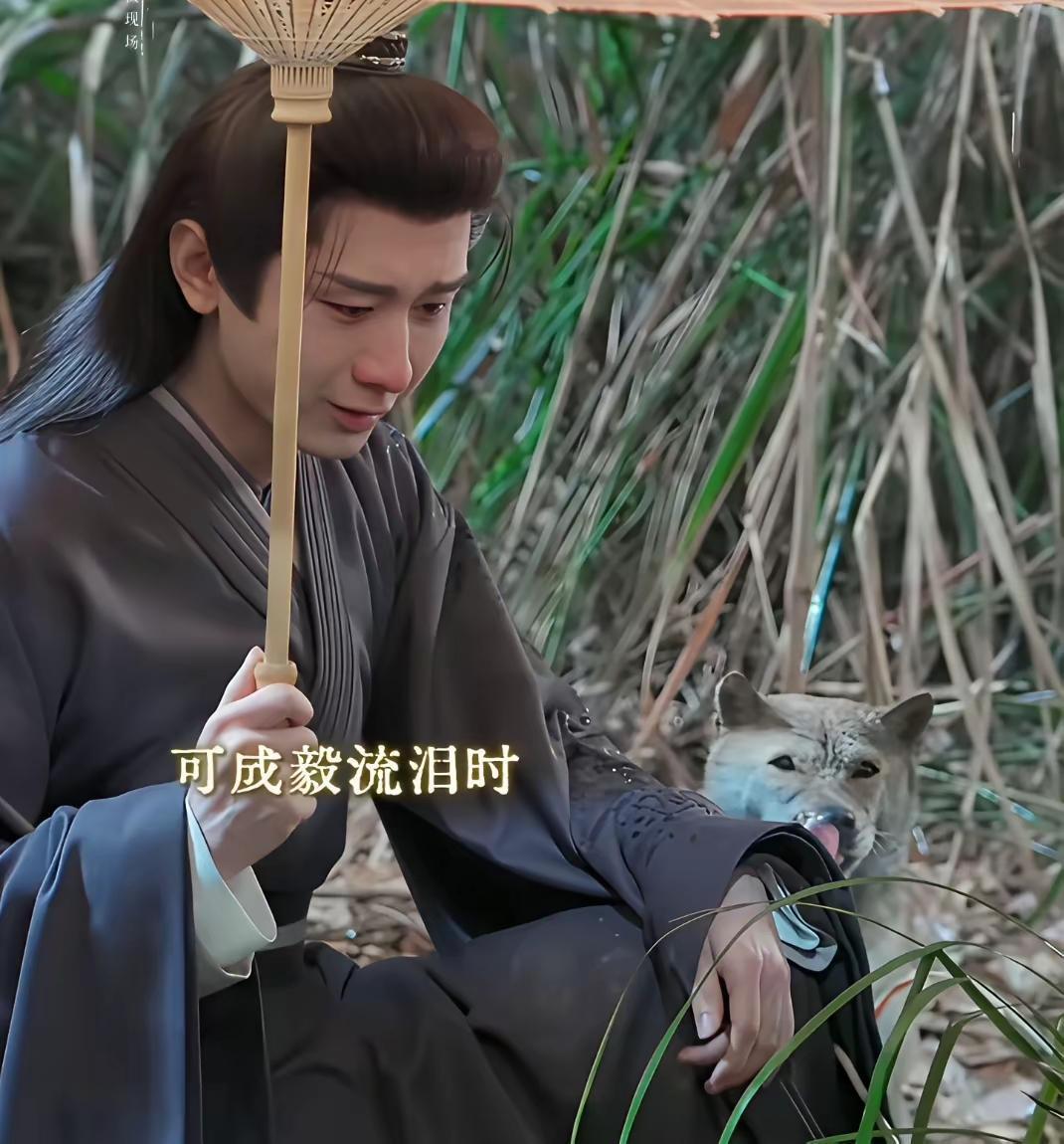 成毅的哭戏很有代入感可以让人共情不像有的演员就在那儿干嚎嚎半天也嚎不出一滴