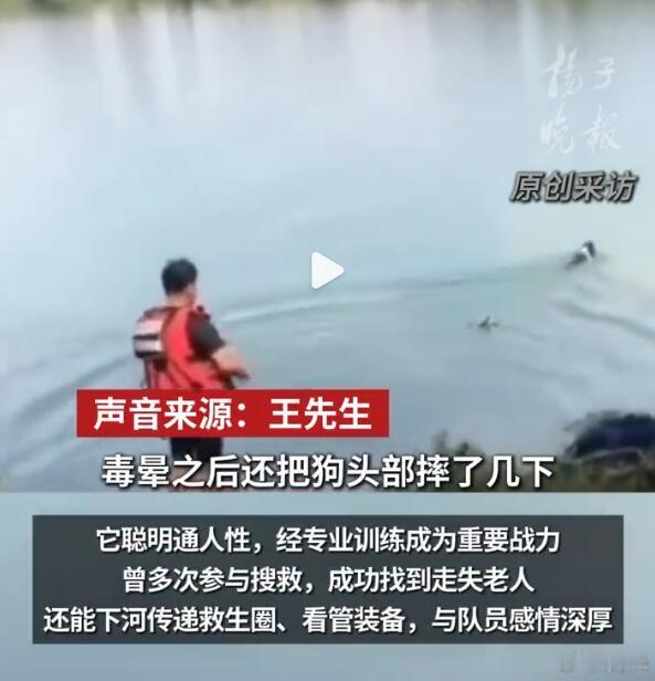 每次看到这种事情就非常心痛，我们究竟还要多久才能出台具有强制力的动物保护法？尤其