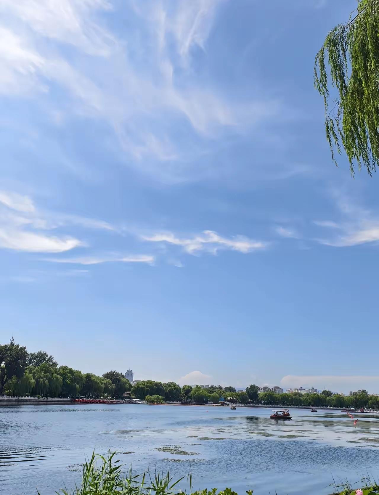 我爸常年贴补小叔，却舍不得给我妈10块钱买碗，一句话撕破家里偏心真相我爸一