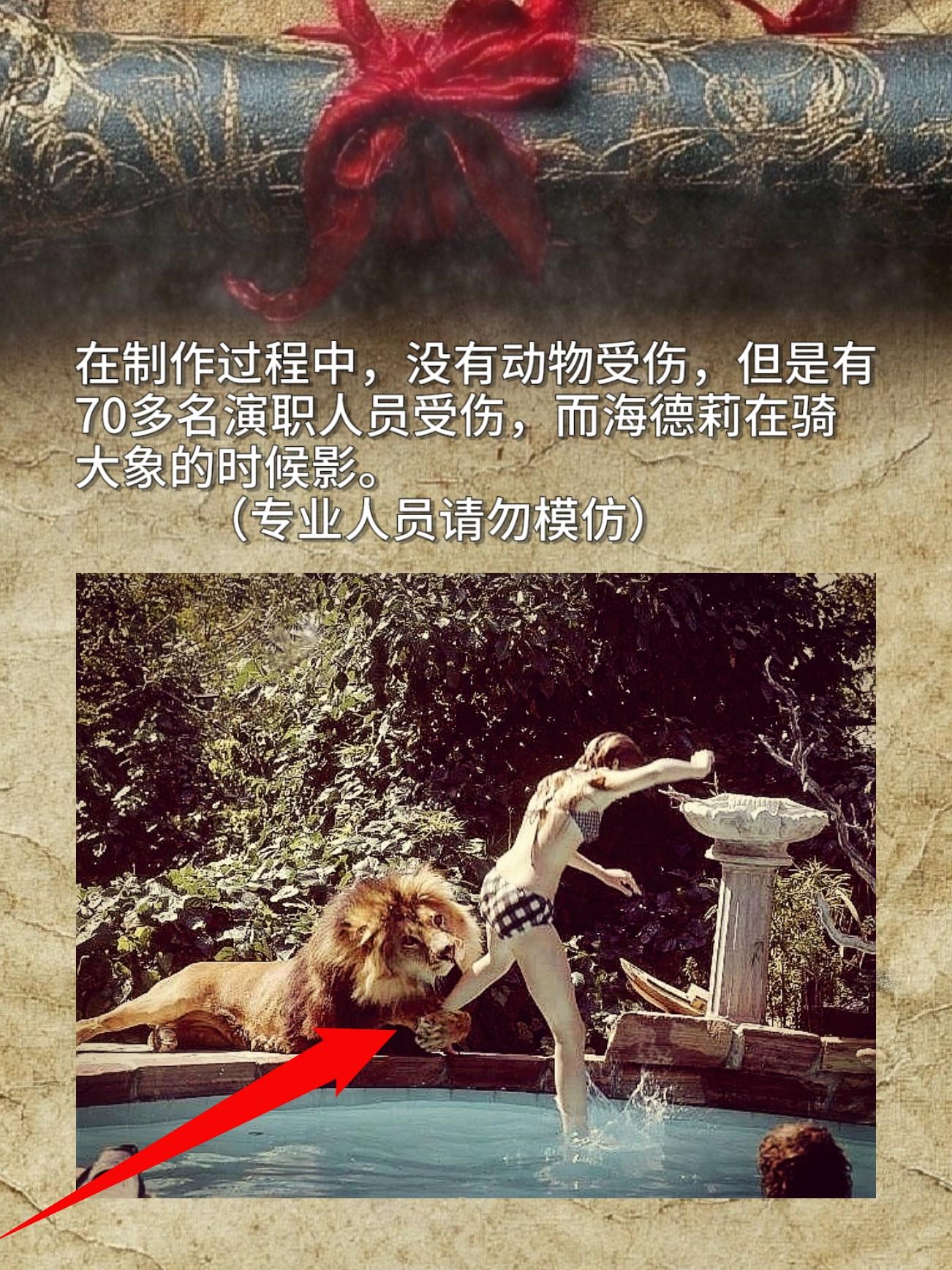 这次制作没让任何动物受伤，可演职人员里却有七十多人挂了彩。