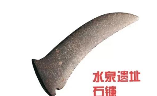 1989年，河南平顶山一男子上山采药时，发现一株非常稀有的草药，可当他激动地伸手