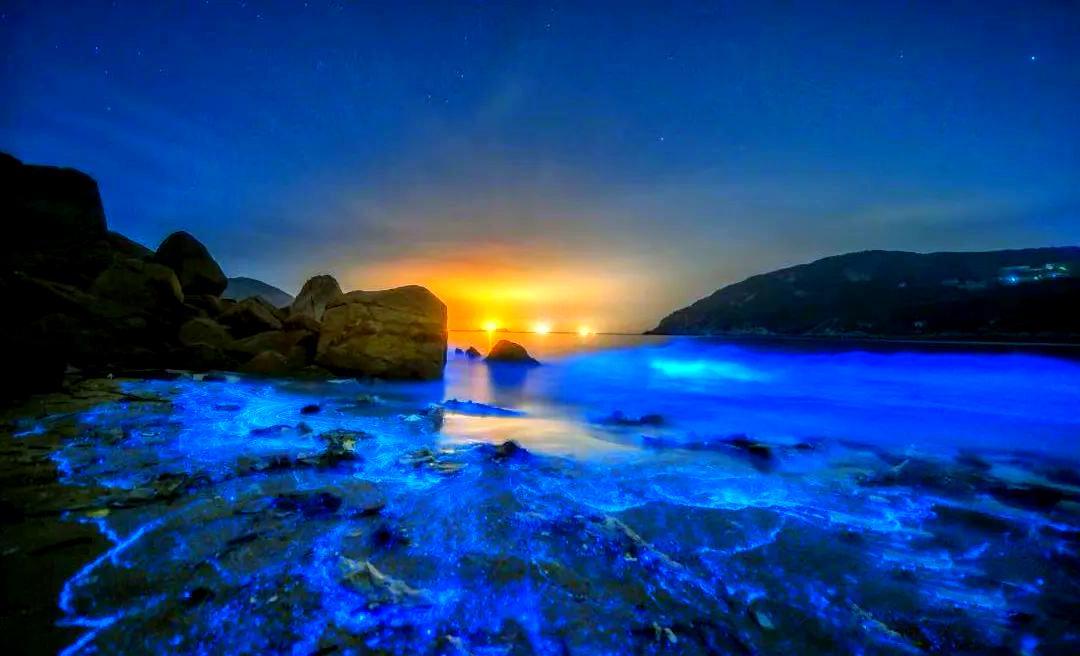 西贝道歉1.2亿次：你们骂得越狠，我赚得越多西贝又道歉了。涨价。被骂。道歉。