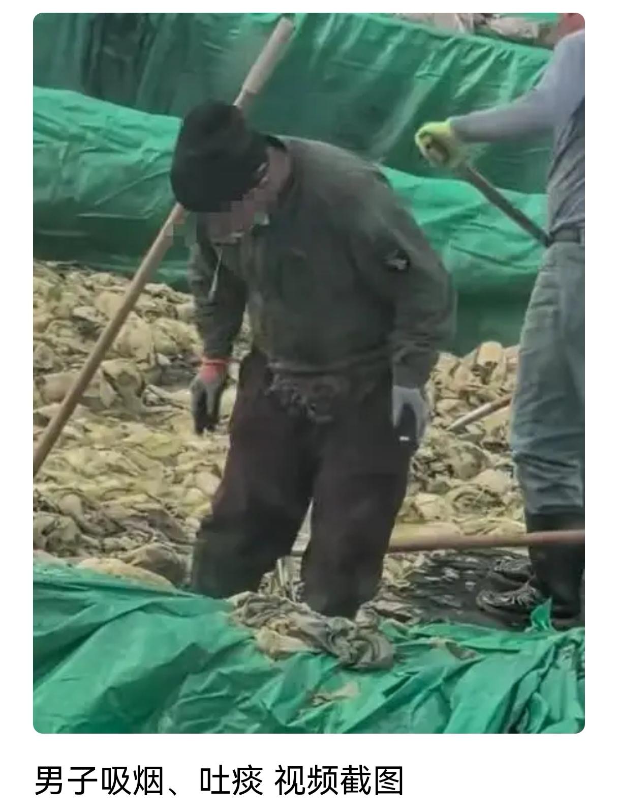 外面的酸菜可不能吃了这回葫芦岛想不出名都不行了,一家生产酸菜的企业生产视频让人